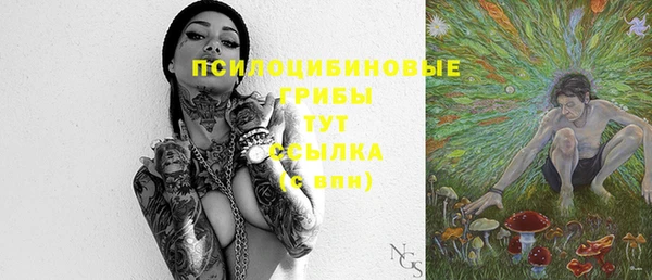 амф Балахна